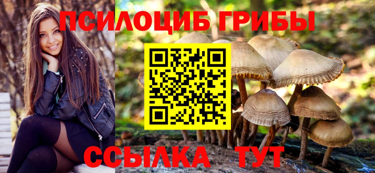 Галлюциногенные грибы мицелий Нефтекумск